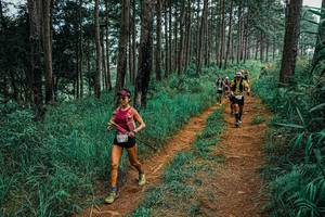 BIB: 
                            <button type="button" onclick="openModal(25657518)" class="btn btn-primary btn-sm float-right btn-popup" data-toggle="modal" data-target=".modal-high-quality">
                        <i class="fas fa-shopping-cart"></i> Add to Cart
                    </button>
                                            <button type="button" onclick="isThisMe(25657518, true)" class="btn btn-success btn-sm float-right btn-popup btn-isme hidden" data-toggle="tooltip" data-placement="bottom" title="นี่คือรูปของคุณใช่ไหม คลิกที่นี่เพื่อเอาเข้าอัลบั้ม">
                        <i class="fas fa-plus"></i> Add to album
                    </button>
                    <button type="button" onclick="isThisMe(25657518, false)" class="btn btn-warning btn-sm float-right btn-popup btn-isnotme hidden">
                        <i class="fas fa-ban"></i> Remove from album
                    </button>